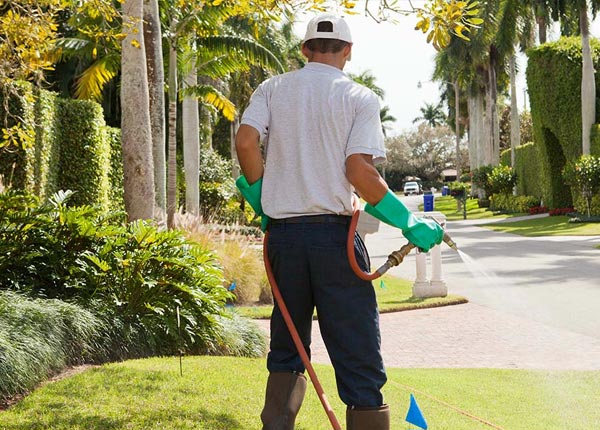 About Norwood MA Pest Control Pros